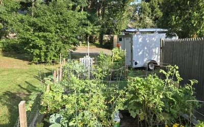 Halycon Condominiums Community Garden